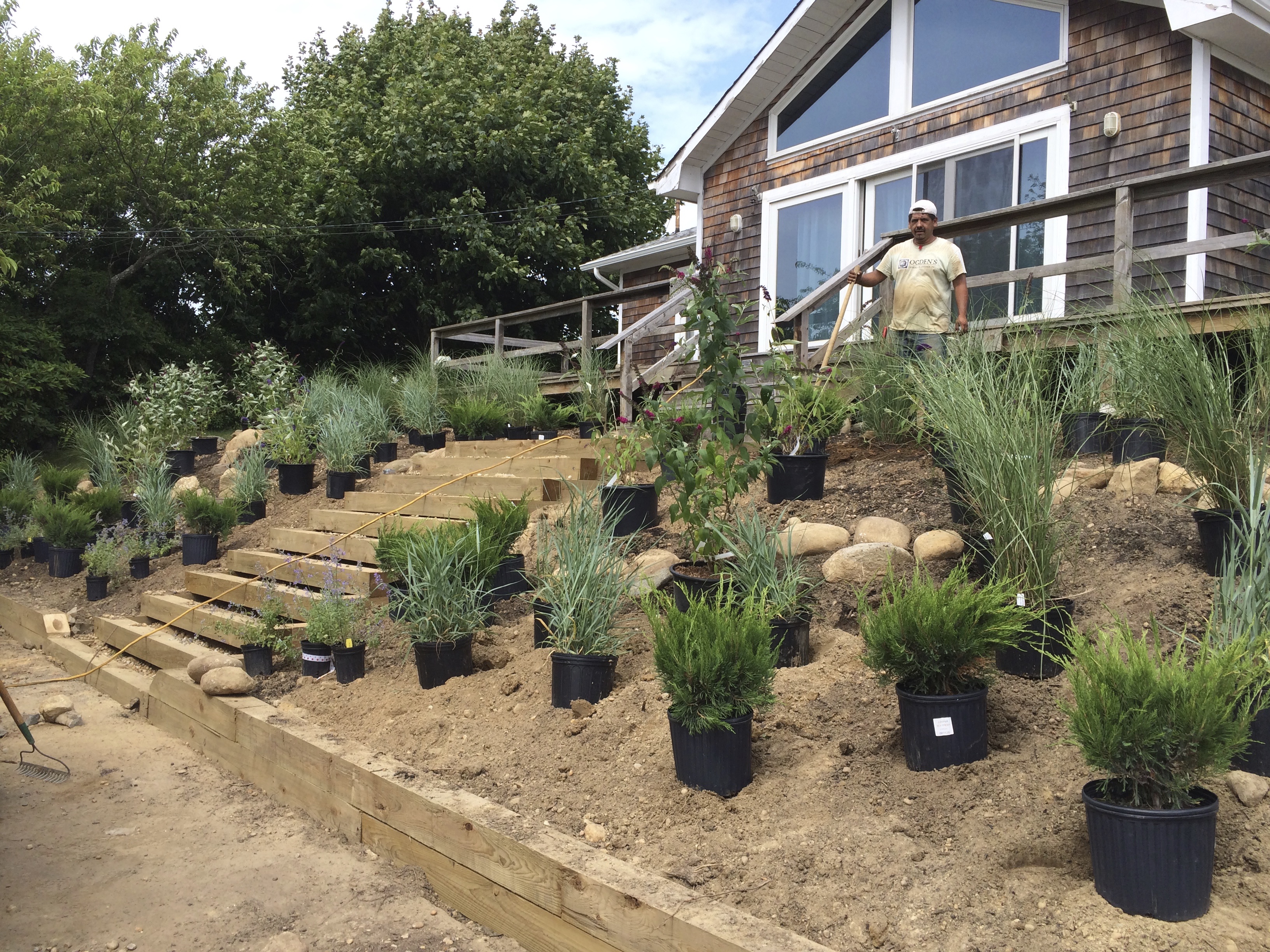 uphill-plantings